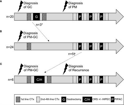 Systemic Chemotherapy Including Ramucirumab in Combination With Pressurized Intra-Peritoneal Aerosol Chemotherapy Is a Safe Treatment Option for Peritoneal Metastasis of Gastric Cancer